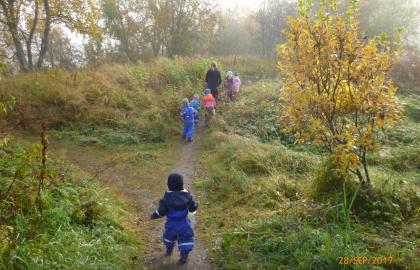 Barn og voksne i Eventyrøya familiebarnehage på skogstur en høstdag med tåke i skogen