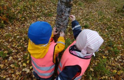 To barn som studerer et tre utenfor Kvaløysletta barnehage en tidlig høstdag