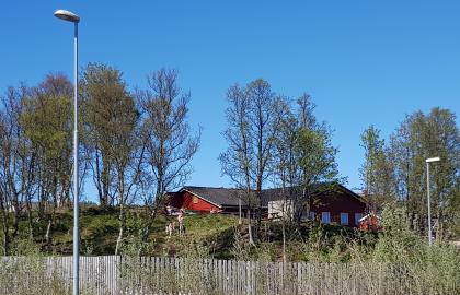 Ameliahaugen barnehage sett utenfra en fin sommerdag med trær og blå himmel